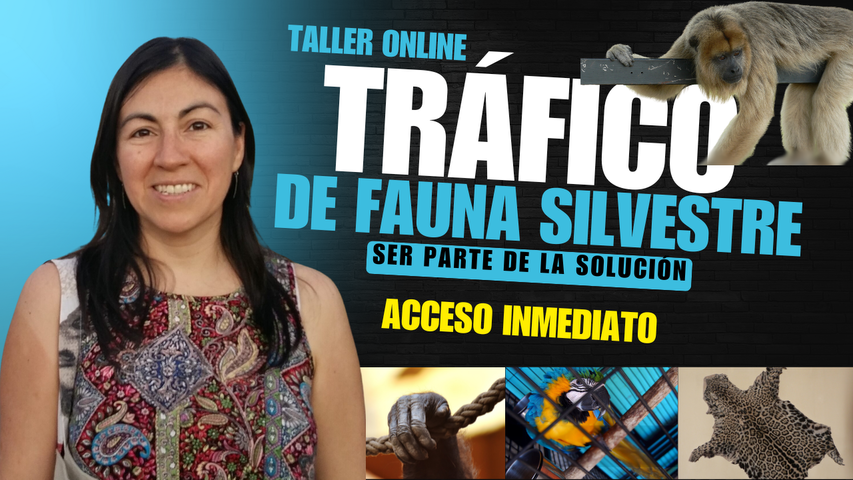 Taller Tráfico de Fauna (220 minutos de duración)