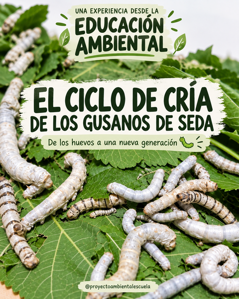 Gusanos de Seda: Una experiencia desde la Educación Ambiental