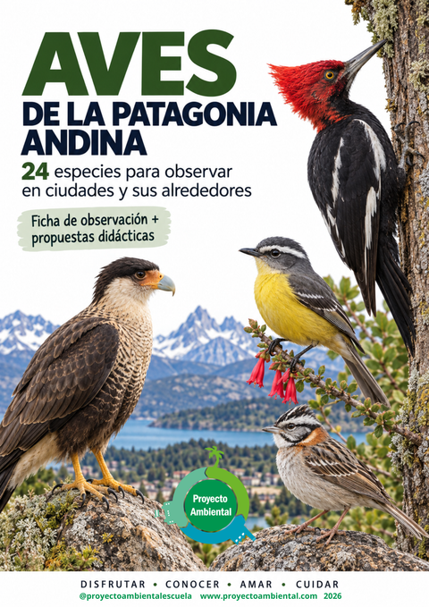 Ficha de observación de aves autóctonas: Patagonia Andina