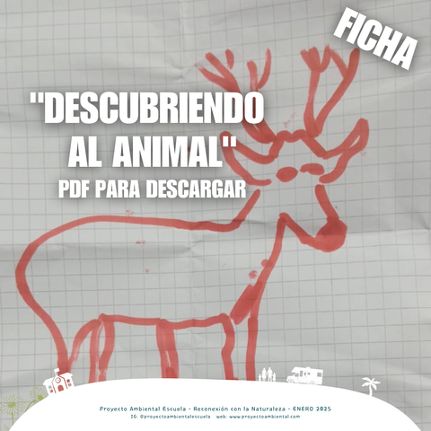 ACTIVIDAD: Descubriendo al Animal