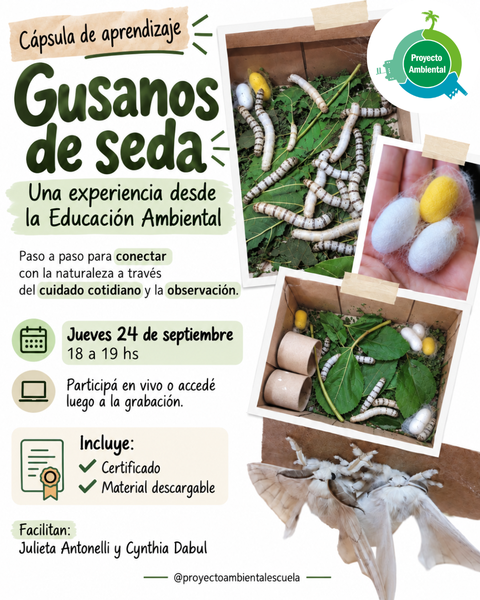 Cápsula de aprendizaje 