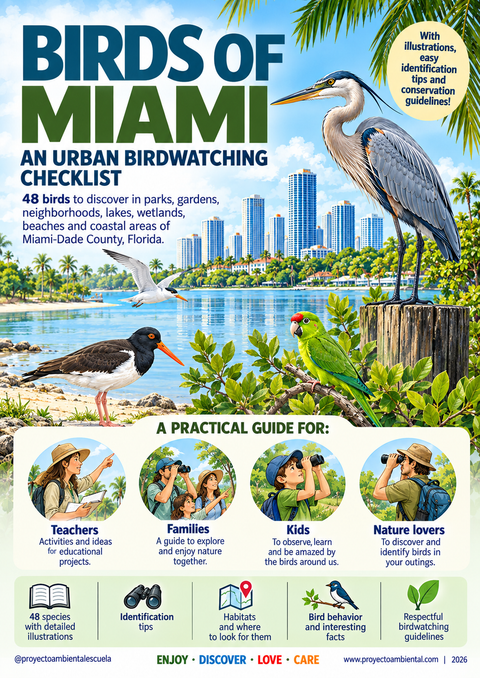 BIRDS OF MIAMI · Birdwatching Guide & Activity Pack
