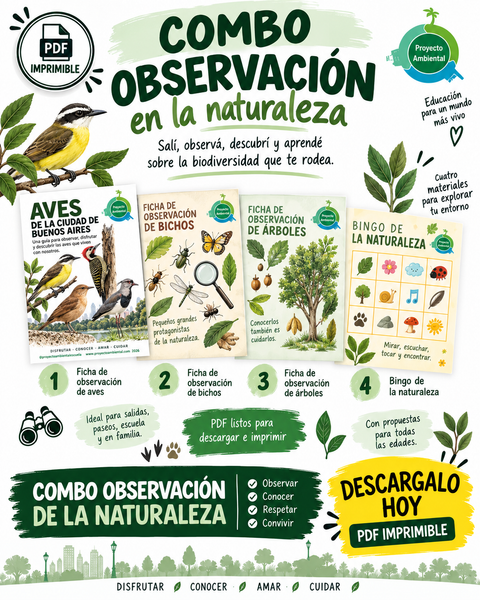 Combo salida de observación