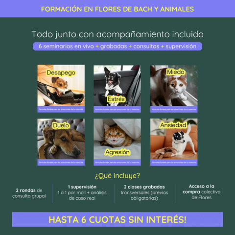 Formación: Flores de Bach y Animales