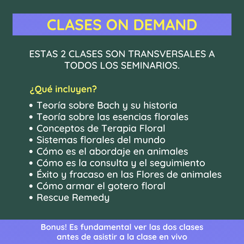 Clases on demand
