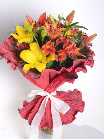 Ramo (Primavera)