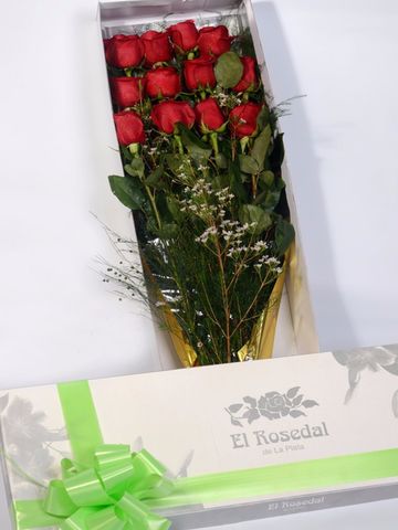Caja Elegancia: 12 rosas rojas importadas
