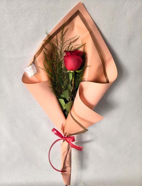 Ramo de una Rosa Roja Ecuatoriana