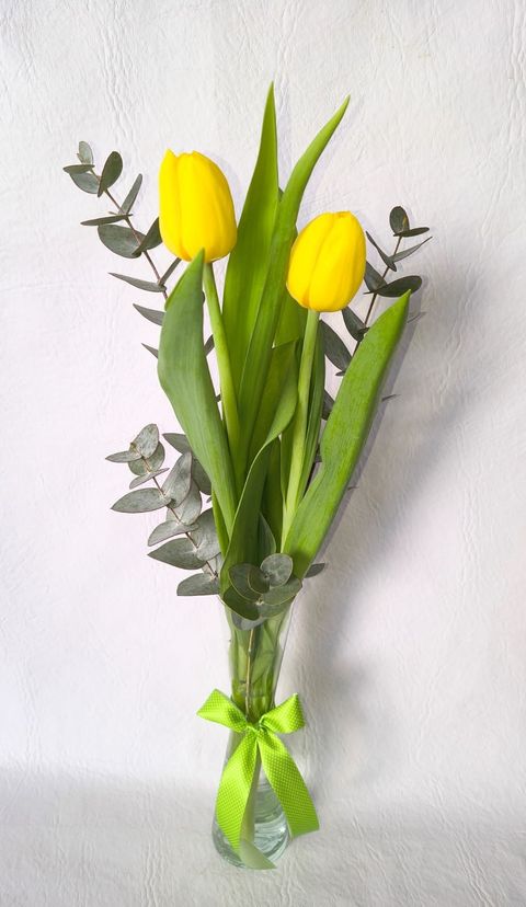 Florero (Tulipanes)