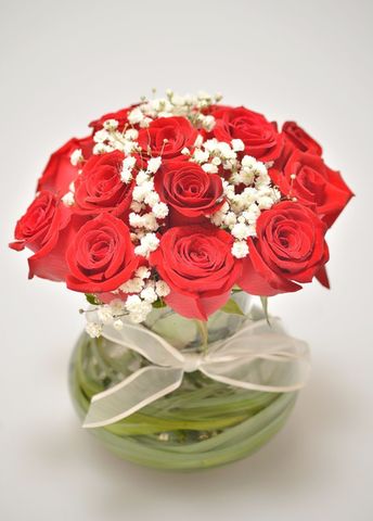 Rosas Elegancia (florero con 15 rosas Ecuatorianas y gipsófilas)