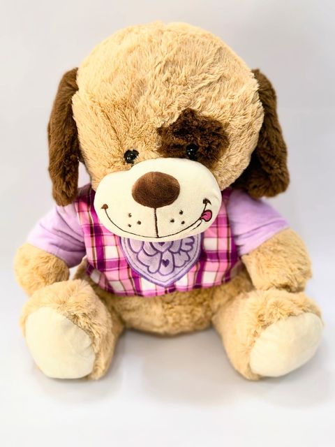 Perro con ropa ( de 35 cm )