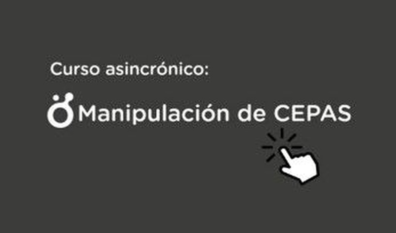 Manipulación de CEPAS