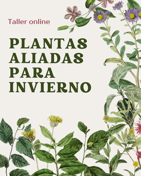 TALLER DE PLANTAS ALIADAS PARA INVIERNO