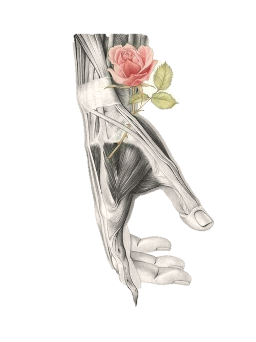 Un dibujo de un floreroEl contenido generado por IA puede ser incorrecto.