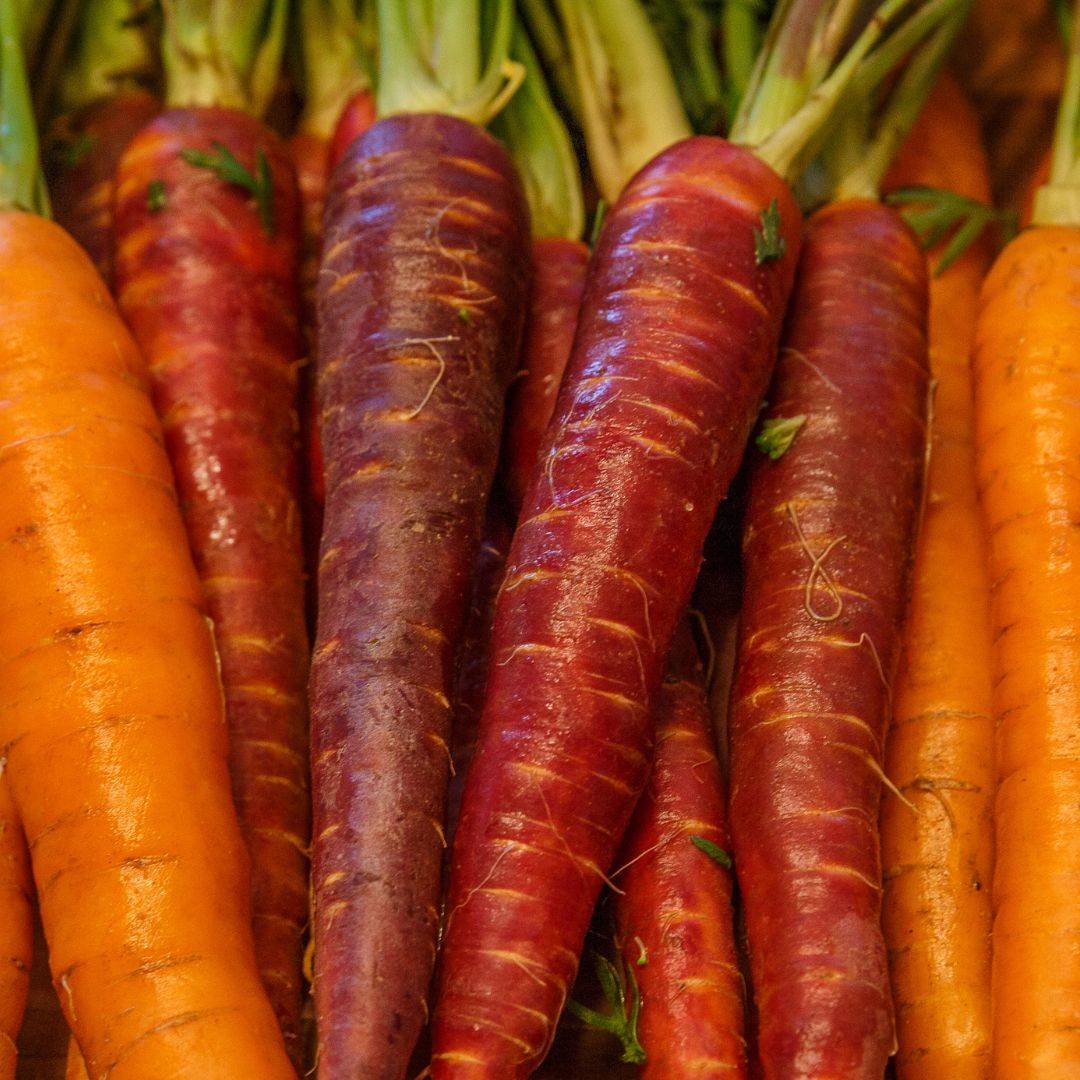 Variedades naranjas y moradas