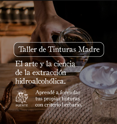 Tinturas Madre & Fitoextractos: Formulación Hidroalcohólica, Gliceritas y Doble Extracción