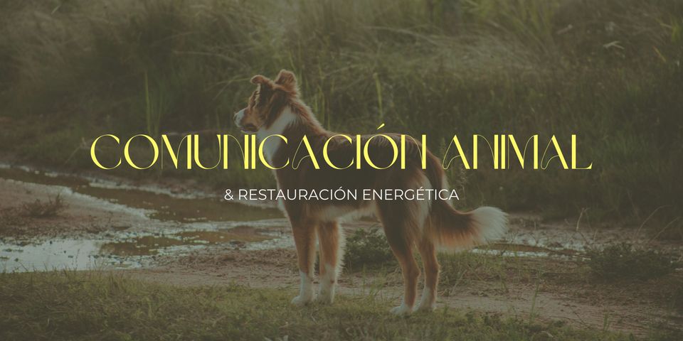 Comunicación Animal & Restauración Energética