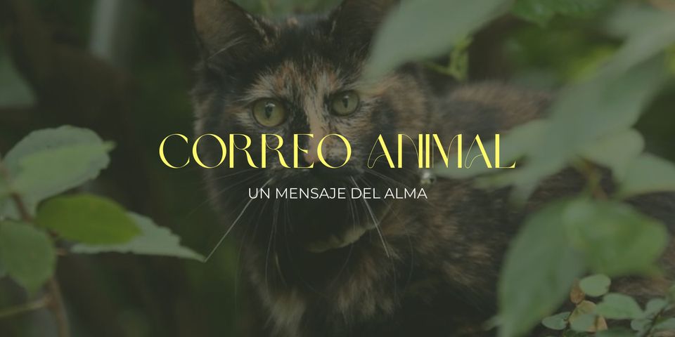 Correo Animal