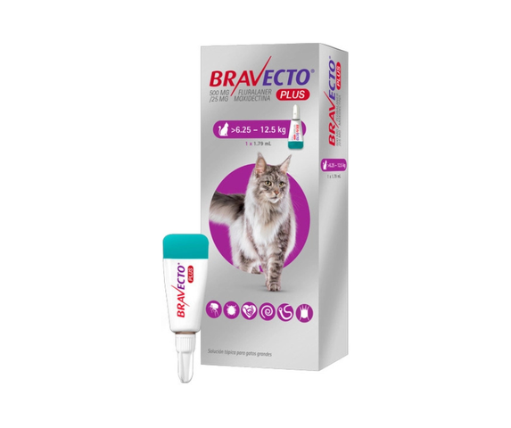 Bravecto Plus para gatos de 6.25 a 12.5kg