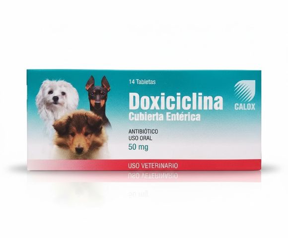 Doxiciclina Calox 50mg