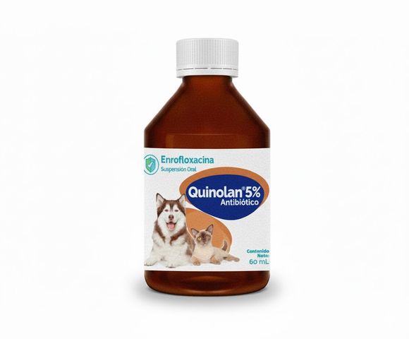 Quinolan Antibiótico