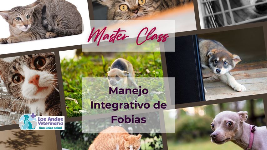 Masterclass: Manejo Integral de Fobias - Miembros Ágora