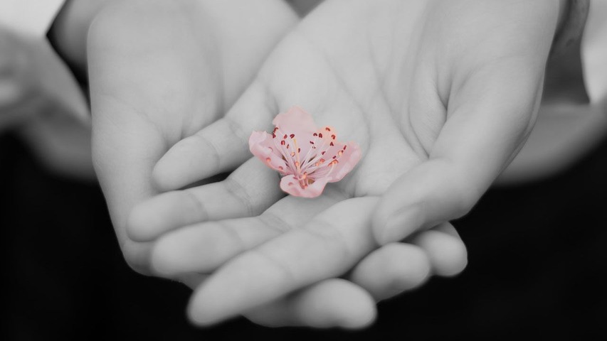 Práctica del Amor Bondadoso (Virtudes Sublimes 1 - Metta)