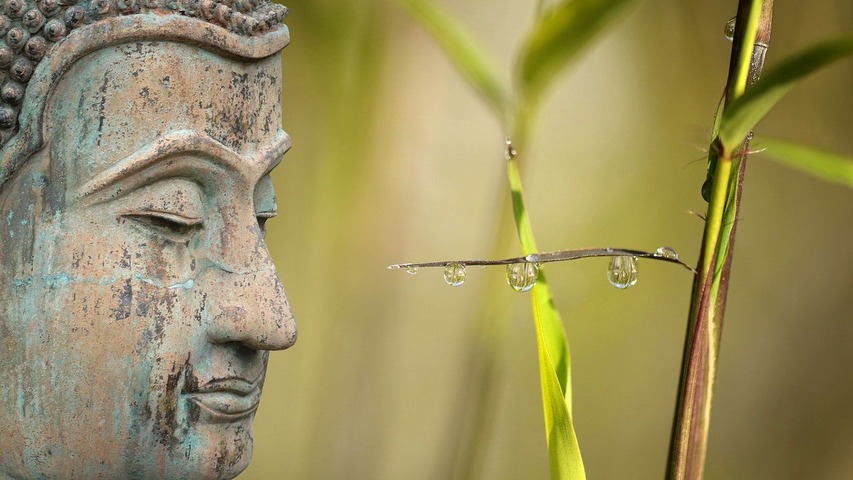 Meditar todos los días (Módulo 1)