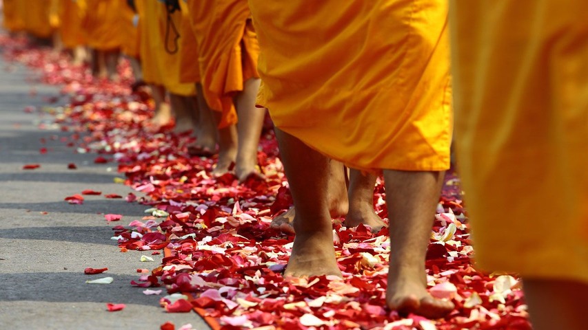 Meditar todos los días (Módulo 2)