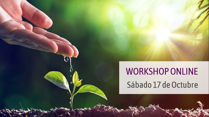Workshop online: Práctica de Primavera (cerrado)