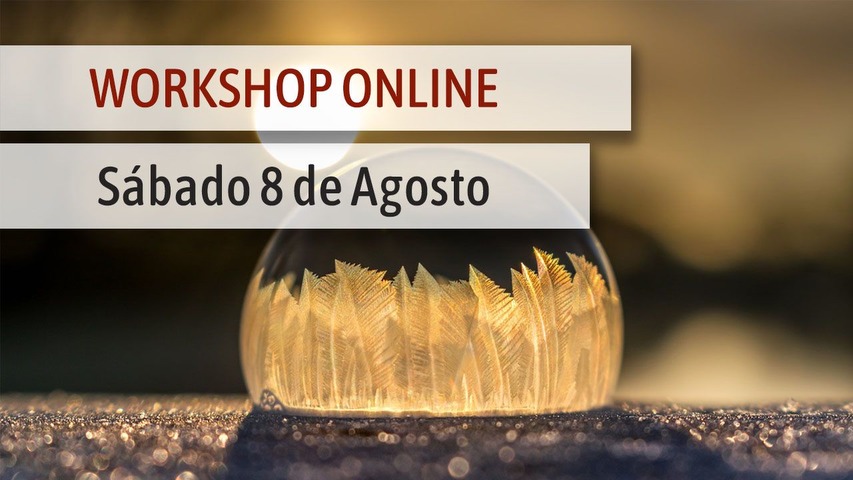 Workshop online: Práctica de Invierno (fecha: 8/8/20)