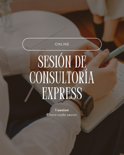 Sesión de consultoría profesional express