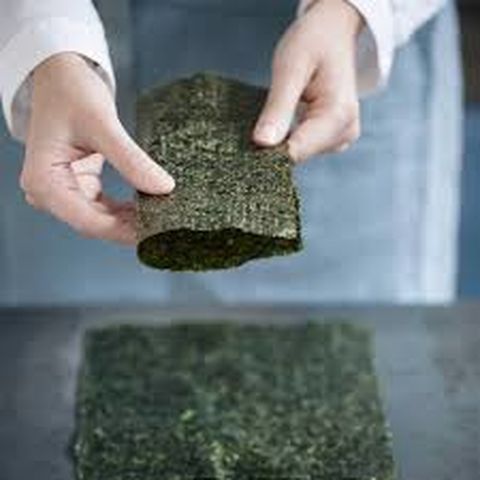  Alga Nori