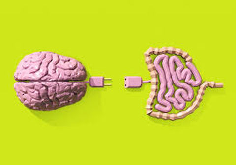 🧠 ¿Qué es el Intestino Neurogénico?