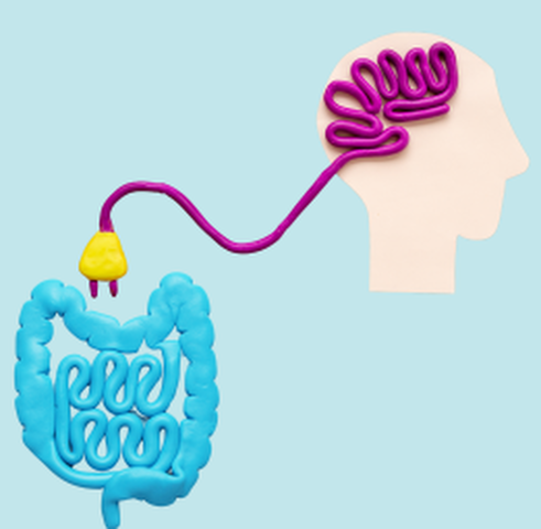 “Las emociones y el Intestino:   Un Viaje por el Eje Intestino-Cerebro” Meditando, pintando, creando
