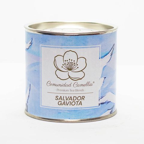 Salvador gaviota