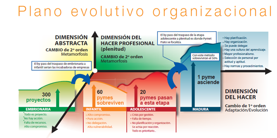 Ciclo de Vida de las Organizaciones (Marzo 25)
