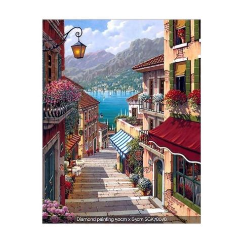 Diamond Painting 50x65cm Estuche cristal S/Bastidor 