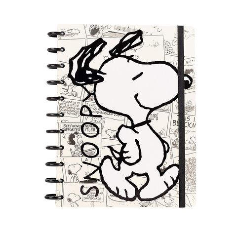 Cuadernos Mooving Loop a Discos 