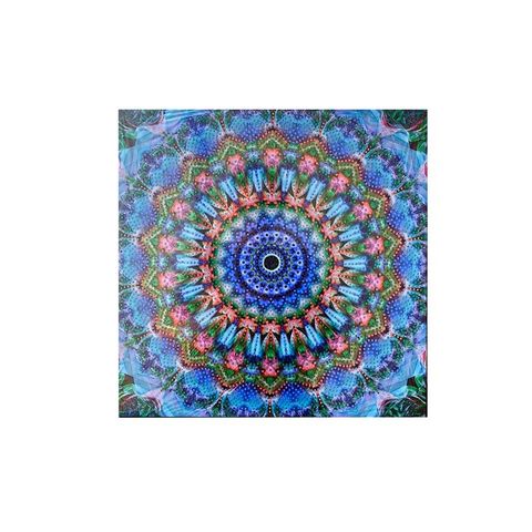 Diamond Painting 30x30 C/Bastidor 