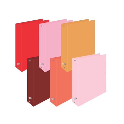 Carpeta Nº3 3x40 PP Rideo 