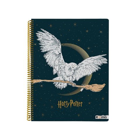 Cuaderno Universitario 