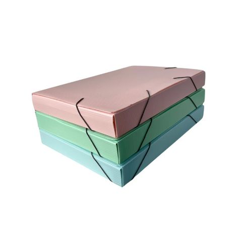 Carpeta Caja Plastica Oficio Multionda Rideo 