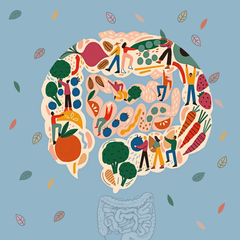 Microbiota con Abordaje BioIntegral 