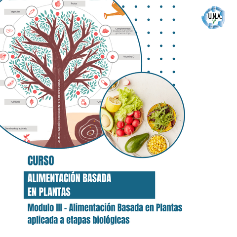 Alimentación Basada en Plantas - Módulo III - Alimentación Basada en Plantas aplicada a Etapas Biológicas