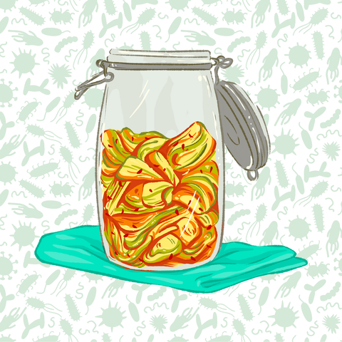 Herramientas para el consultorio ~ Microbiota y Fermentos