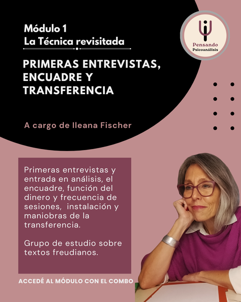 Primeras entrevistas, encuadre y transferencia (La técnica revisitada - Parte 1)