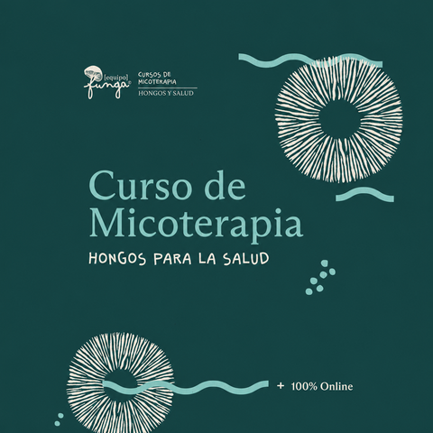 Curso de Micoterapia -  Septiembre 2026