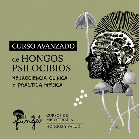 Curso de Hongos Psilocibios - Próximamente nueva edición 