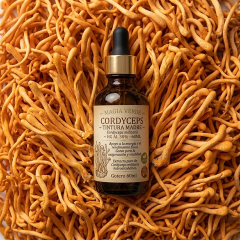 Cordyceps ~ Tintura Madre